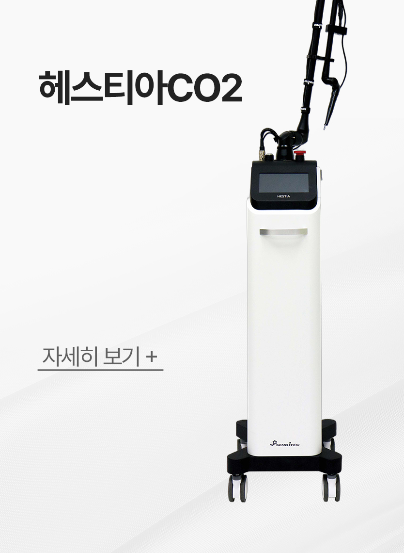 헤스티아CO2